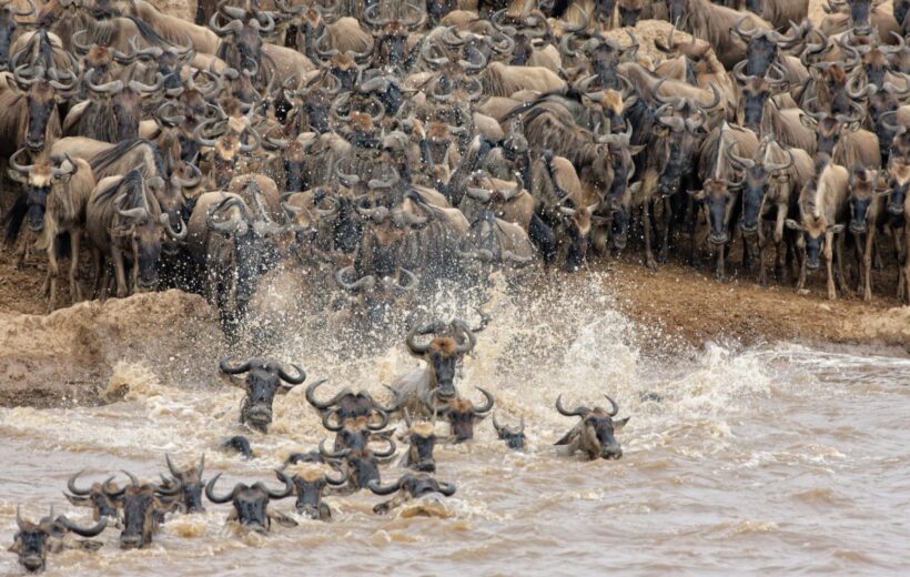 15 Memorable Days for Safari in Tanzania and Beach Holiday in Zanzibar