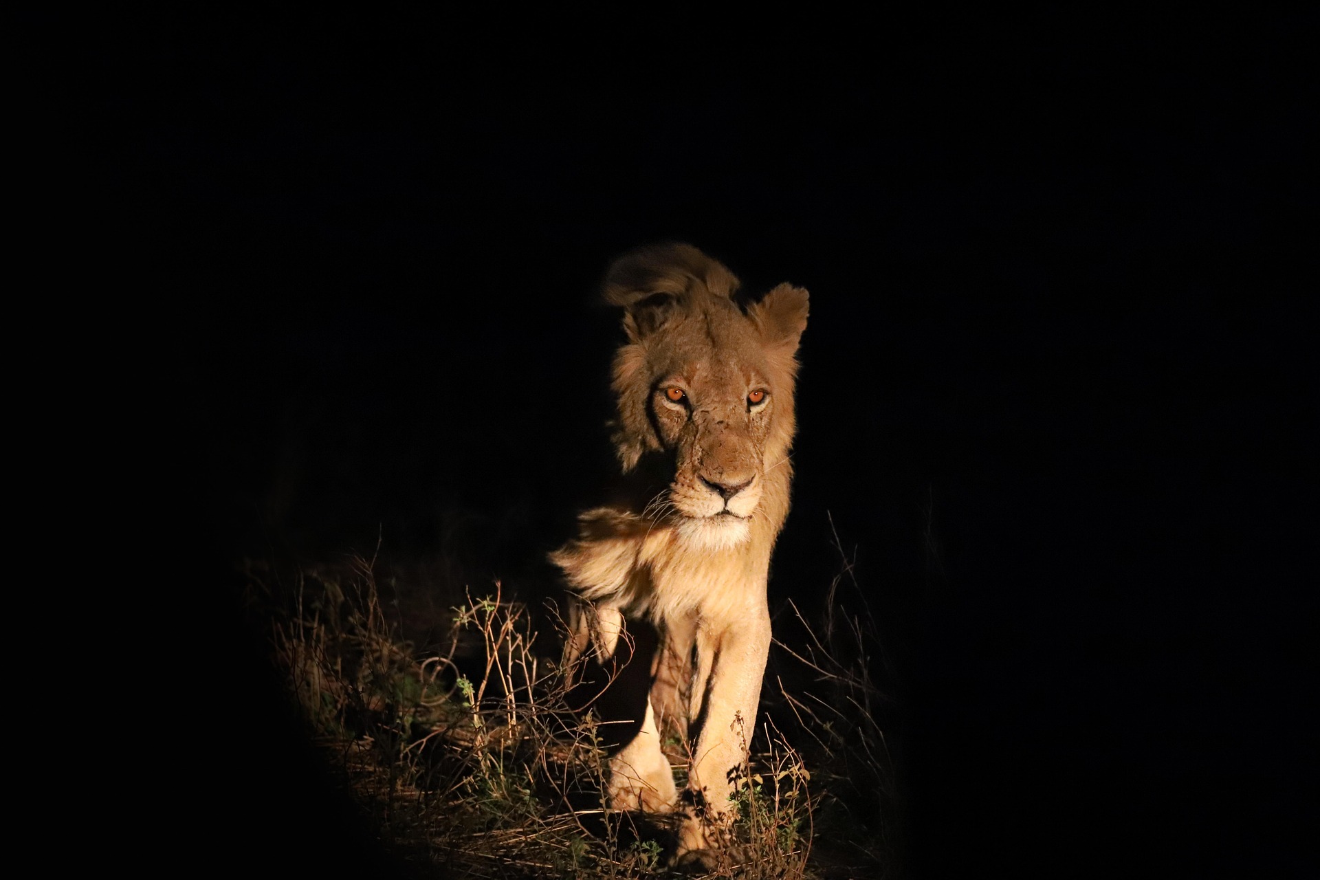 Serengeti National Park