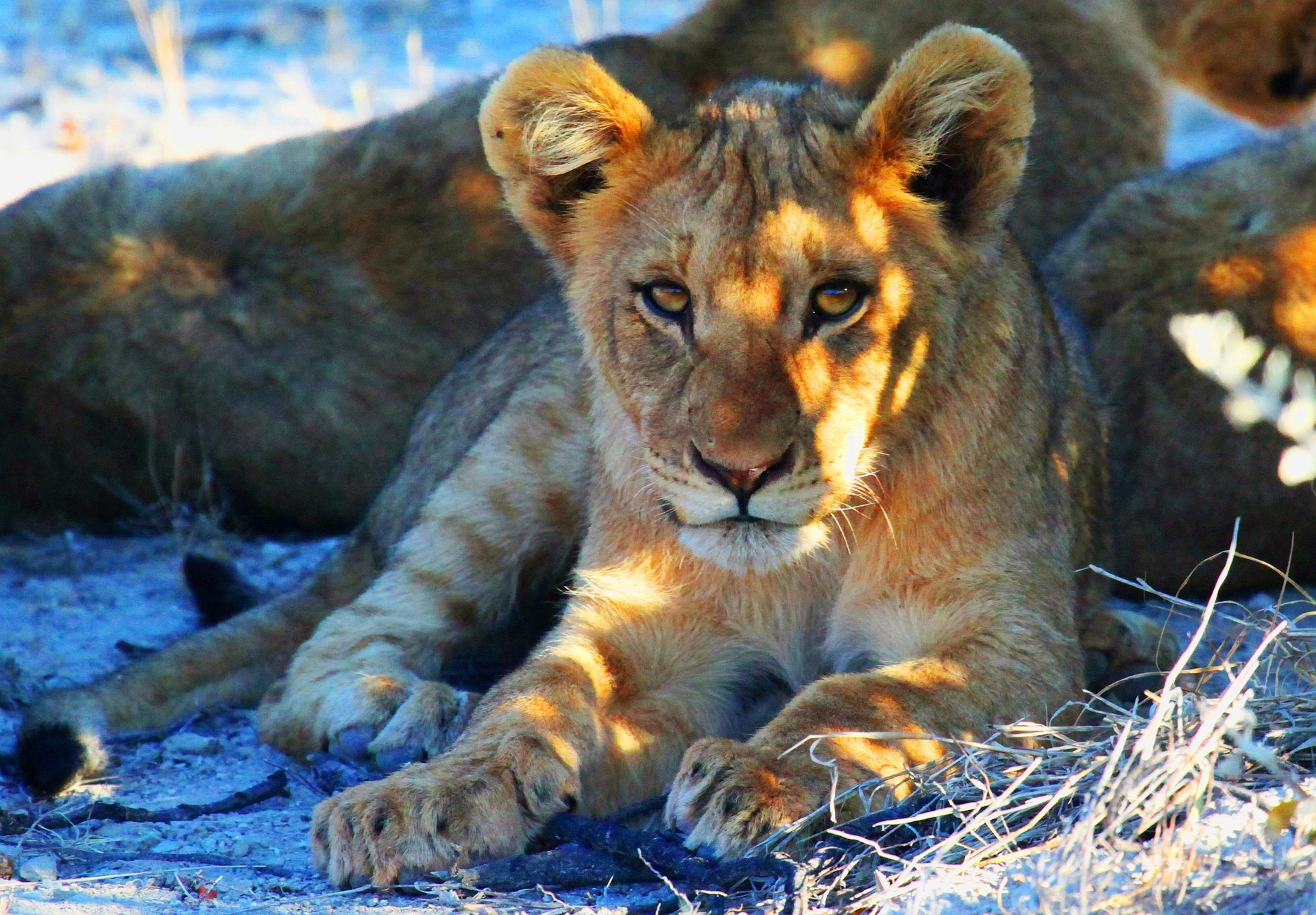 Serengeti National Park