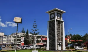 Arusha Full Day Activity