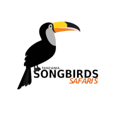 IMG-20250814-WA0000-removebg-preview-removebg-preview