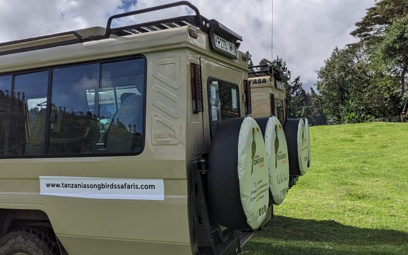 PXL_20250510_120559079